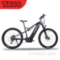 Electric Mountain Bike Wholesale online